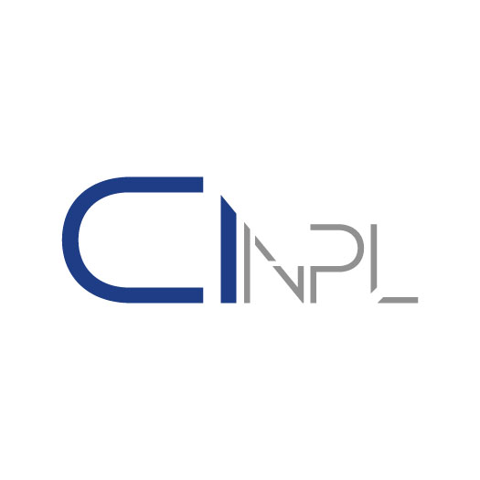 Credit Investment NPL